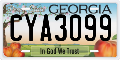 GA license plate CYA3099