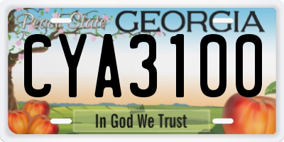 GA license plate CYA3100