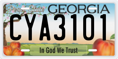 GA license plate CYA3101