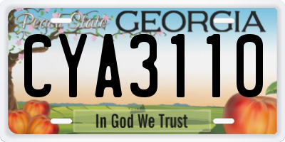 GA license plate CYA3110