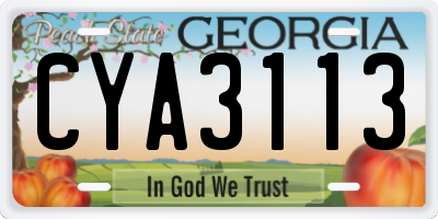 GA license plate CYA3113