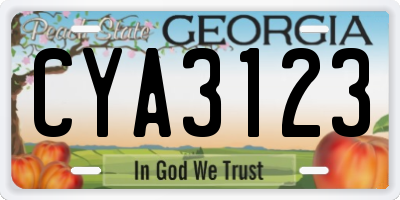 GA license plate CYA3123