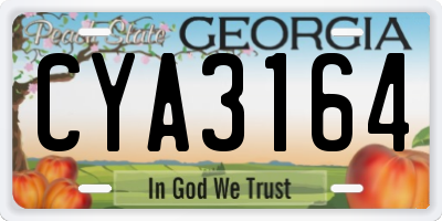 GA license plate CYA3164