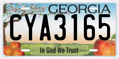 GA license plate CYA3165