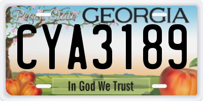 GA license plate CYA3189