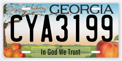 GA license plate CYA3199