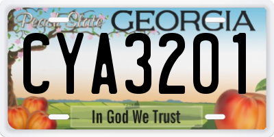 GA license plate CYA3201