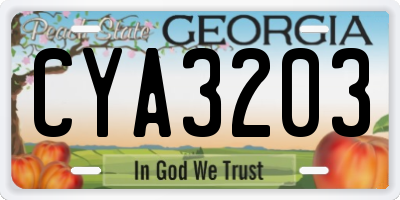 GA license plate CYA3203