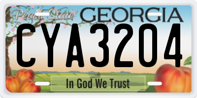 GA license plate CYA3204