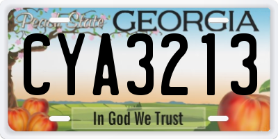 GA license plate CYA3213
