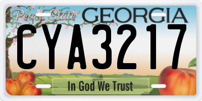 GA license plate CYA3217