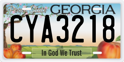 GA license plate CYA3218