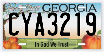 GA license plate CYA3219