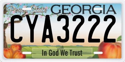 GA license plate CYA3222