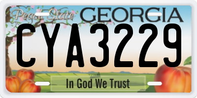 GA license plate CYA3229