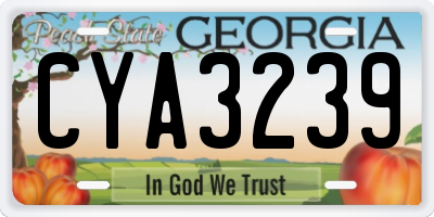 GA license plate CYA3239