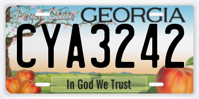 GA license plate CYA3242