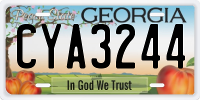 GA license plate CYA3244
