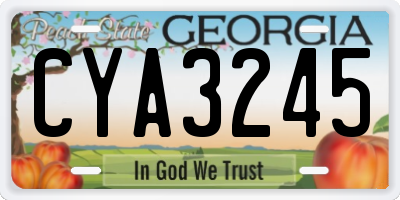 GA license plate CYA3245