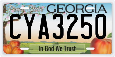 GA license plate CYA3250