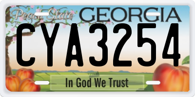 GA license plate CYA3254