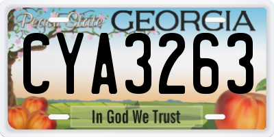 GA license plate CYA3263