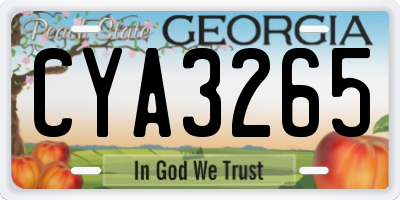 GA license plate CYA3265