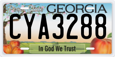 GA license plate CYA3288