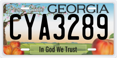 GA license plate CYA3289