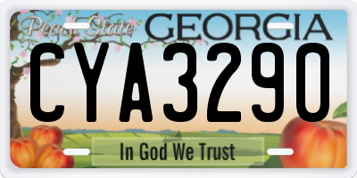 GA license plate CYA3290