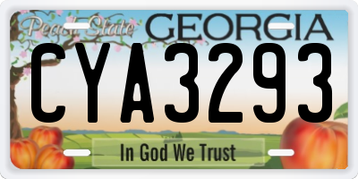 GA license plate CYA3293