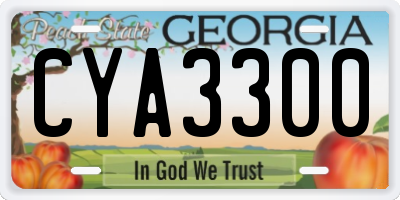 GA license plate CYA3300