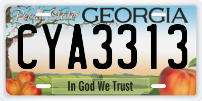GA license plate CYA3313