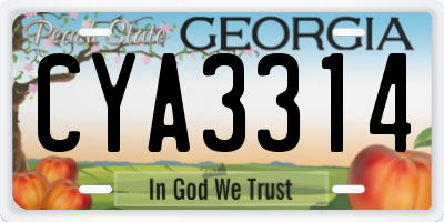 GA license plate CYA3314