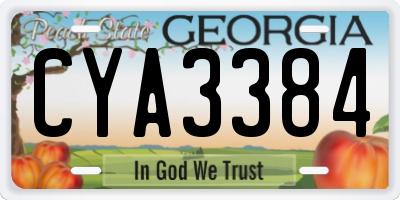 GA license plate CYA3384