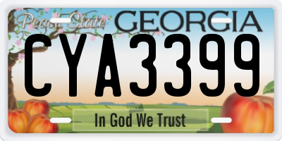 GA license plate CYA3399