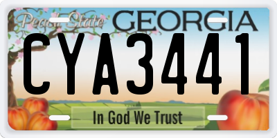 GA license plate CYA3441