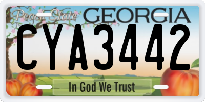 GA license plate CYA3442