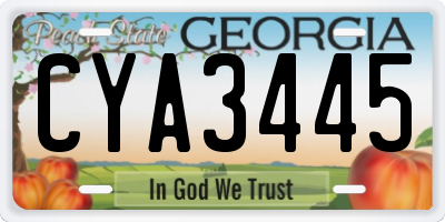 GA license plate CYA3445