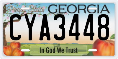 GA license plate CYA3448