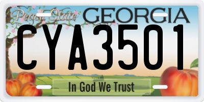 GA license plate CYA3501