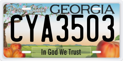 GA license plate CYA3503