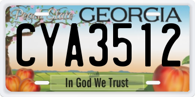 GA license plate CYA3512