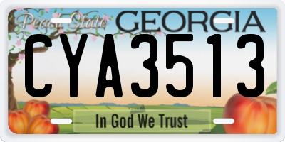 GA license plate CYA3513