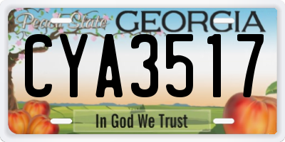 GA license plate CYA3517