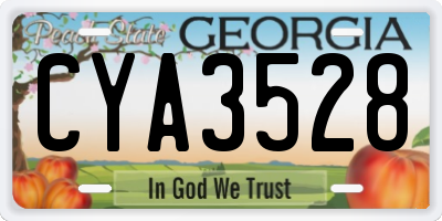 GA license plate CYA3528