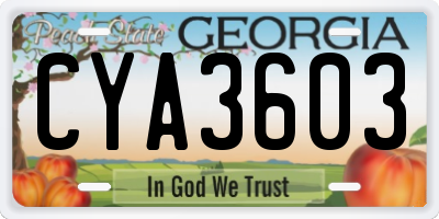 GA license plate CYA3603