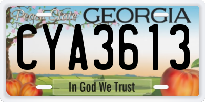 GA license plate CYA3613