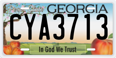 GA license plate CYA3713