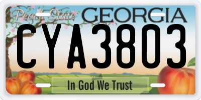 GA license plate CYA3803